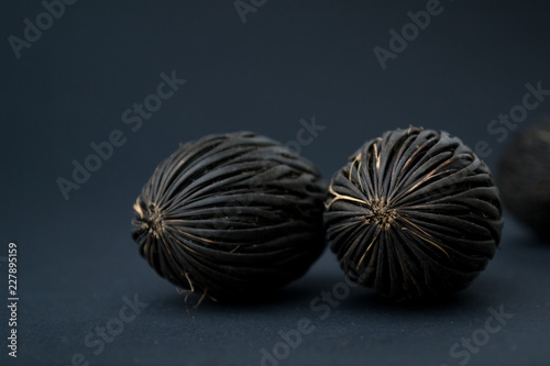 Among these exotic Foxtail palm seeds. Wodyetia bifurcata. Black, brown amazing seeds on black background photo