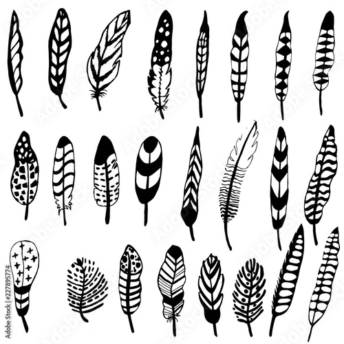 Graphics hand feather isolated on white background