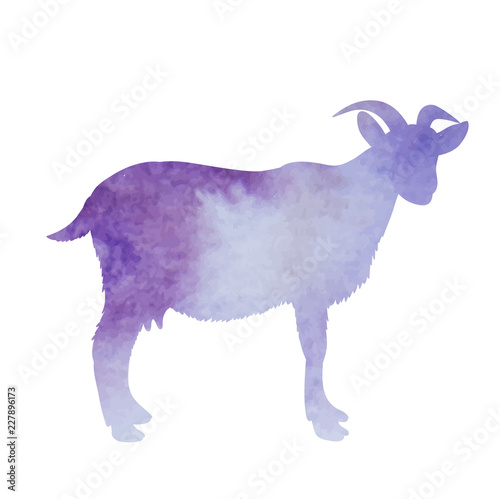 icon, white background, watercolor silhouette of a goat