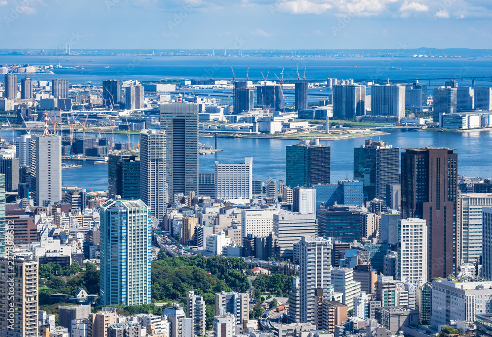 Fototapeta premium 東京ベイエリア 港区と豊洲市場周辺
