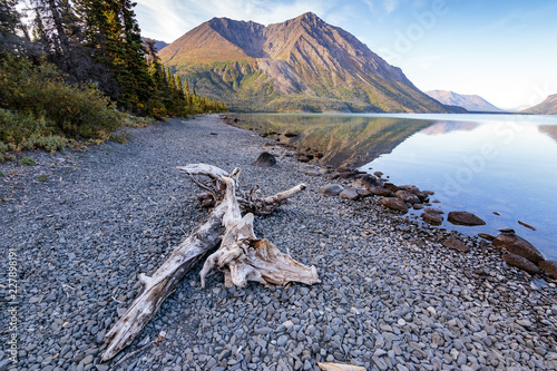 Piece of wood on tha beach at Kathleen lake, Yukon Canada photo