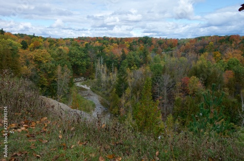 Photography The beautiful Rouge Park in autumn