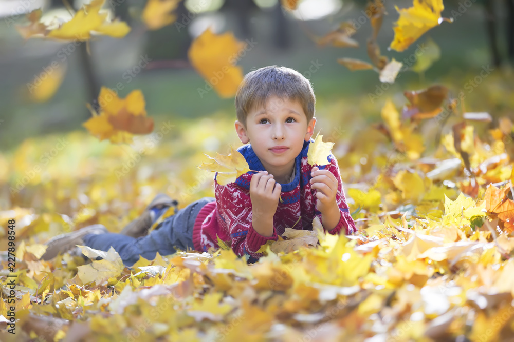 Sad charming child with autumn maple leaves. The boy lies on yellow leaves in autumn park. October leaf fall Sad charming child with autumn maple leaves. The boy lies on yellow leaves in autumn park. October leaf fall