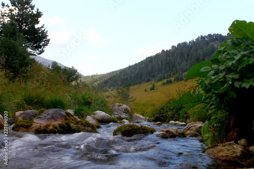 Photo of nature - spring water mountain river and the fantastic stony creek on North Caucasus