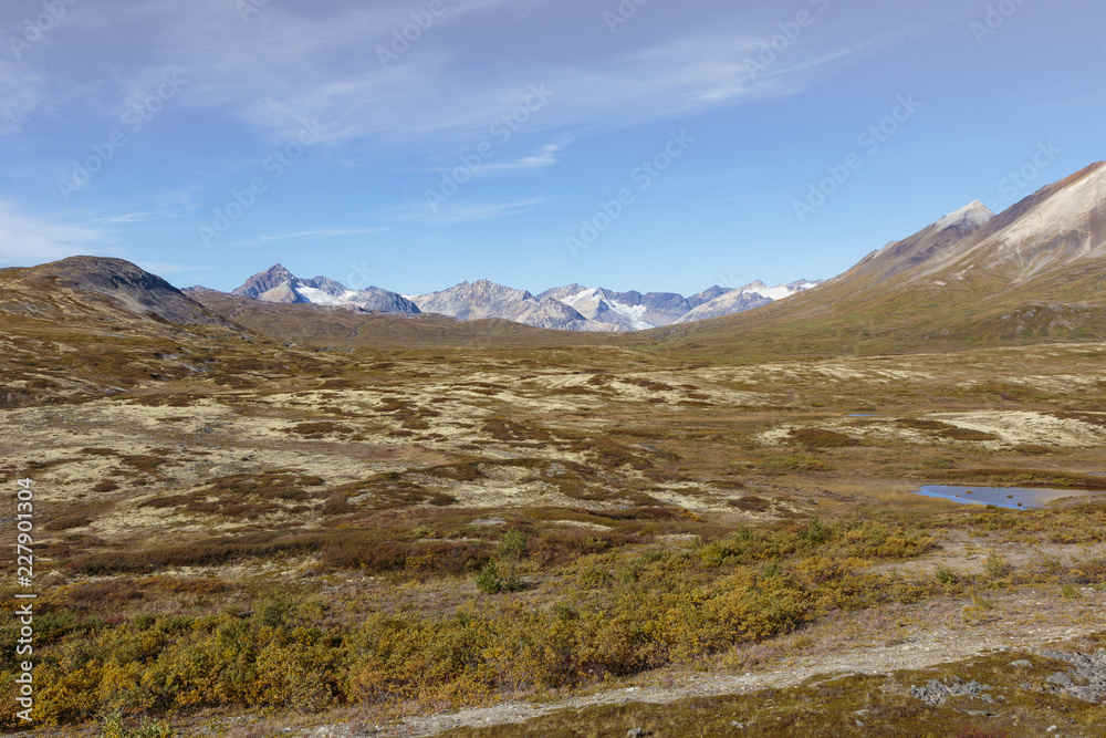 Landscape near the Haines highway in Yukon Canada