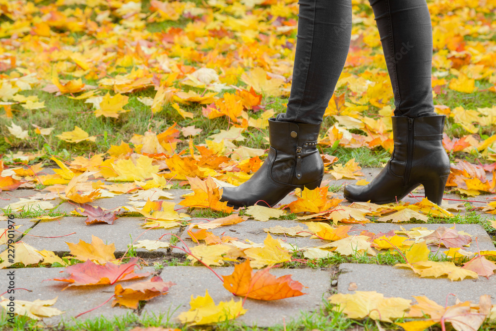 Young woman's legs in black leather boots walking in autumn day. Sidewalk covered with fallen colorful, fresh and lush maple leaves. Side view. Young woman's legs in black leather boots walking in autumn day. Sidewalk covered with fallen colorful, fresh and lush maple leaves. Side view.