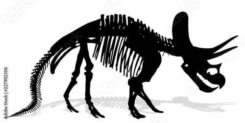 Скелет динозавра. © larisska_c