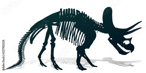 Скелет динозавра. 