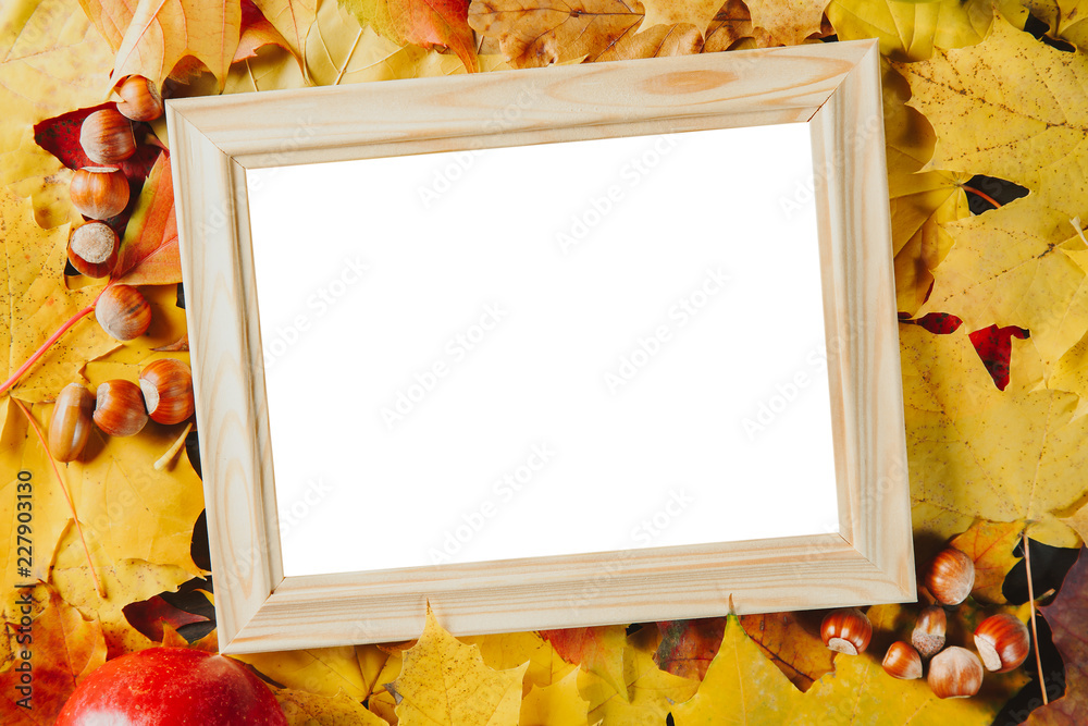 Blank wooden photo frame with hazelnuts on colorful maple leaves background. Autumn concept. - obrazy, fototapety, plakaty 