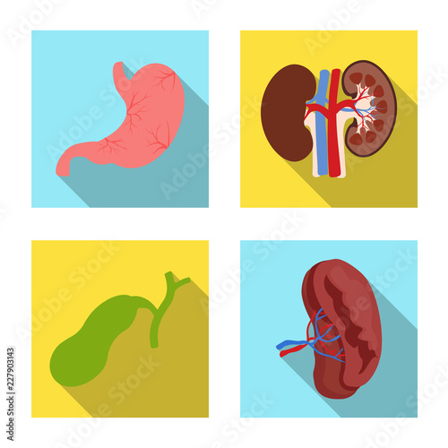 Isolated object of body and human symbol. Collection of body and medical stock symbol for web.