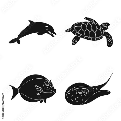 Isolated object of sea and animal symbol. Set of sea and marine stock vector illustration.