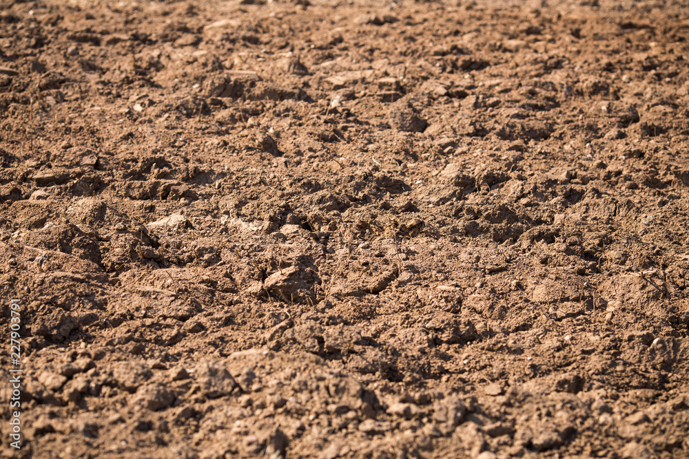 Plowed field with tractor traces in spring time, farm soil background, sown cereals. Selective focus