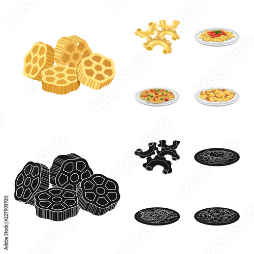 Isolated object of pasta and carbohydrate icon. Set of pasta and macaroni stock symbol for web.