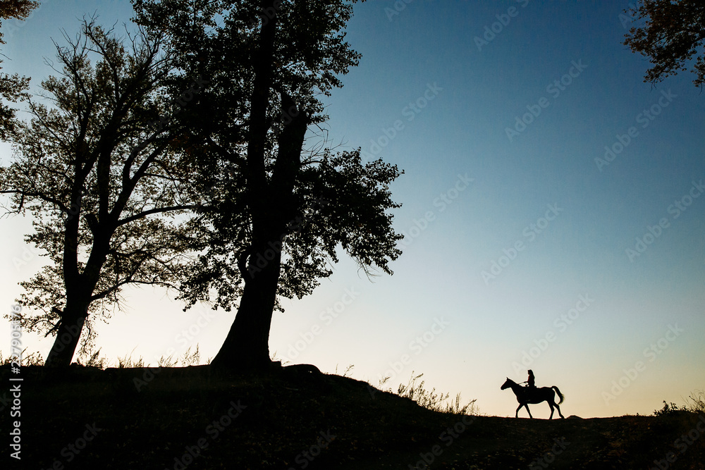 silhouette of a woman riding a horse in a field near a tree. Beautiful sunset sky in the background