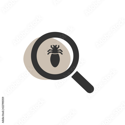 Magnifying glass looking for a lice isolated web icon photo