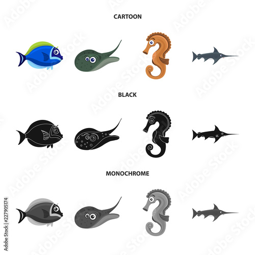 Vector illustration of sea and animal symbol. Set of sea and marine stock symbol for web.
