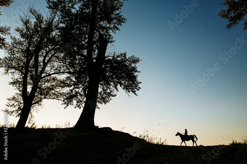 silhouette of a woman riding a horse in a field near a tree. Beautiful sunset sky in the background