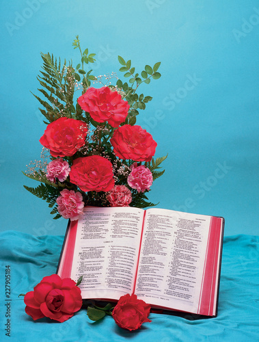 Roter Nelkenstrauss mit Bibel