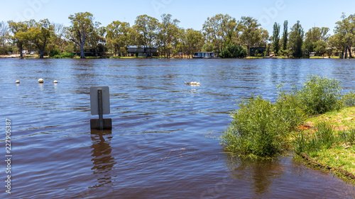 The Murray River in flood at Morgan in South Australia in December 2016