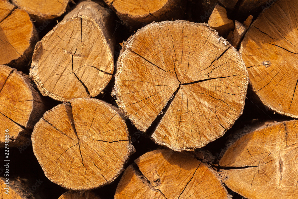 Fototapeta premium Dry oak firewood stacked in a pile, not chopped whole wood for winter heating fireplace. Natural wood background.