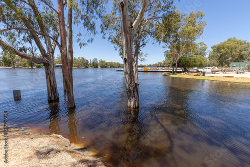 The Murray River in flood at Morgan in South Australia in December 2016