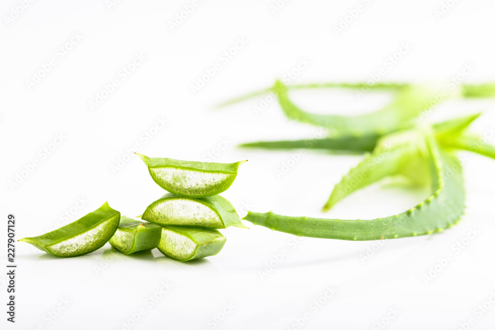 Cut Aloe Vera leaves on white background. Cut Aloe Vera leaves on white background.