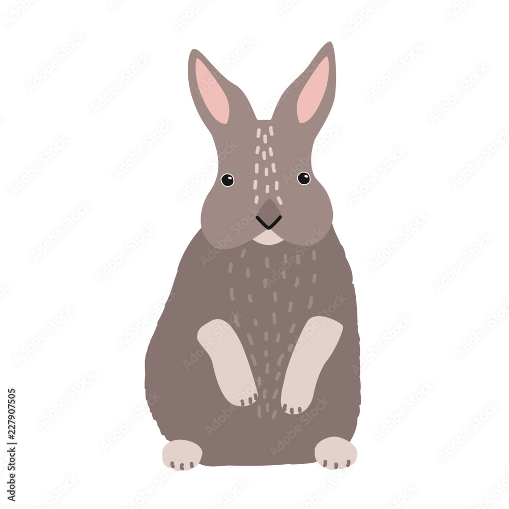 Obraz premium Cute bunny or rabbit isolated on white background