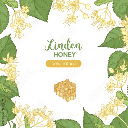 Square banner template decorated with honeycomb and frame or border made of linden flowers, leaves. Colorful hand drawn vector illustration in elegant realistic style for honey product advertisement.