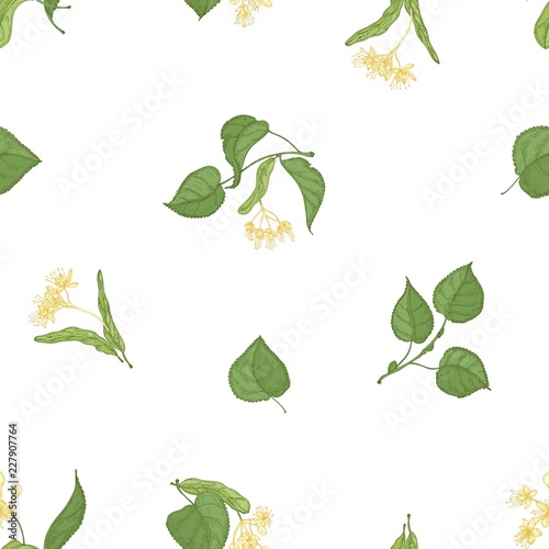 Elegant seamless pattern with linden leaves and blooming flowers on white background. Backdrop with medicinal plant. Colorful hand drawn vector illustration in realistic style for wrapping paper.