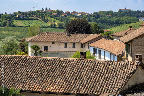 Road to Govone and San Martino Alfieri, Asti, in Monferrato photo