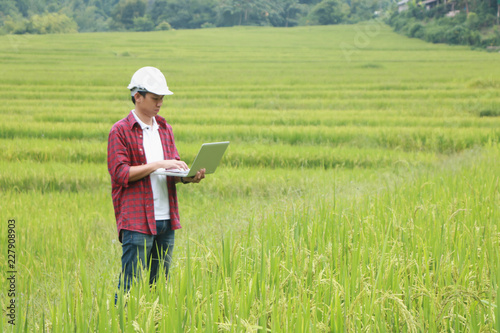 Smart farming, using modern technologies in agriculture. Man agronomist farmer with digital tablet computer in field using apps and internet of things(IOT) in production and agricultural research