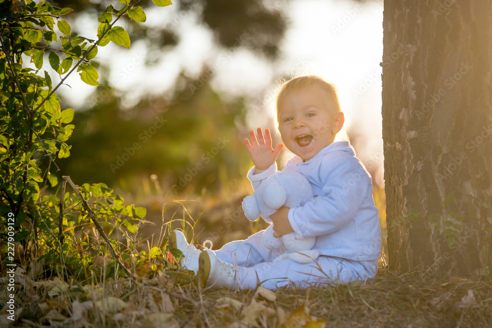 Cute blond toddler baby boy walking in autumn park with plush toy in hands. Cute blond toddler baby boy walking in autumn park with plush toy in hands.