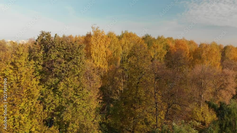 flight up autumn Izmailovo park Moscow, Russia flight up autumn Izmailovo park Moscow, Russia