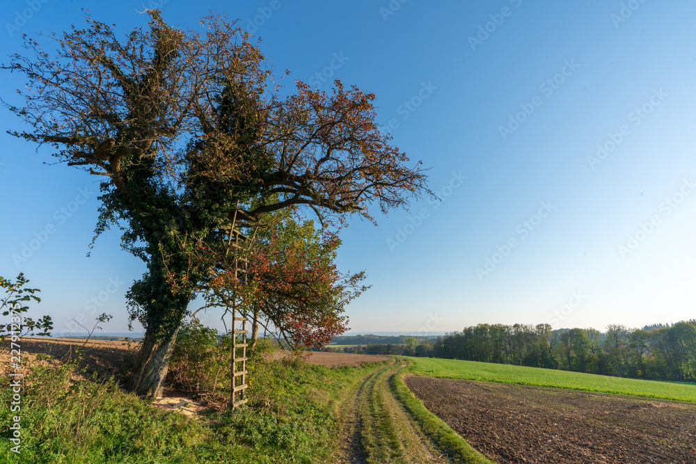 Hochstand mit Acker