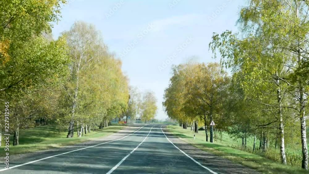 autumn road for cars driving among the trees in Belarus in the afternoon autumn road for cars driving among the trees in Belarus in the afternoon