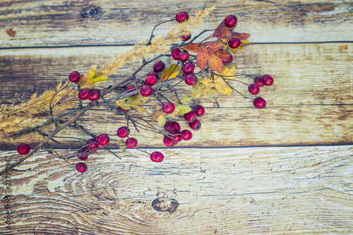 Berries and dry grass on a wooden background.