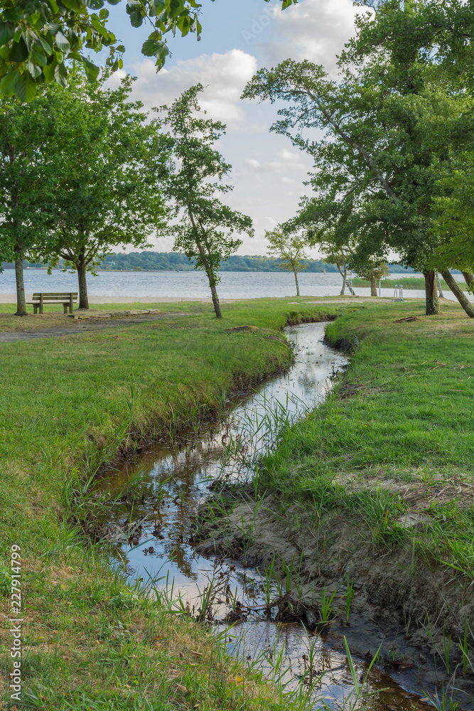 stream flows in the middle of forest to the sandy lakeshore. reflection in the water stream flows in the middle of forest to the sandy lakeshore. reflection in the water