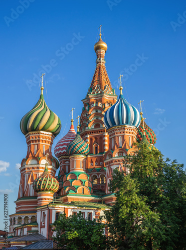 Saint Basils Cathedral  in Moscow
