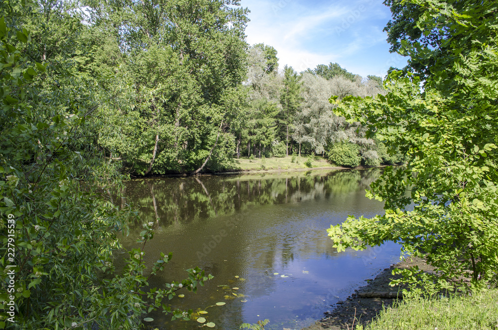 Quiet river with large trees on the banks Quiet river with large trees on the banks