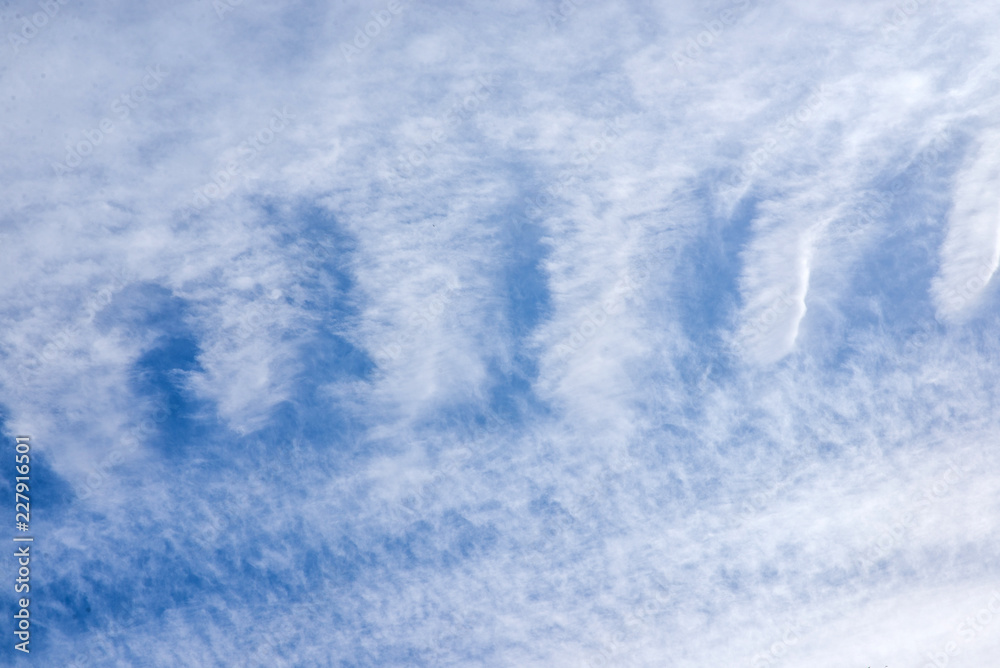 feather clouds in the bright blue sky feather clouds in the bright blue sky