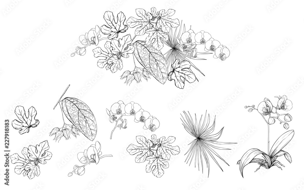 Set of elements for design with tropical plants Set of elements for design with tropical plants
