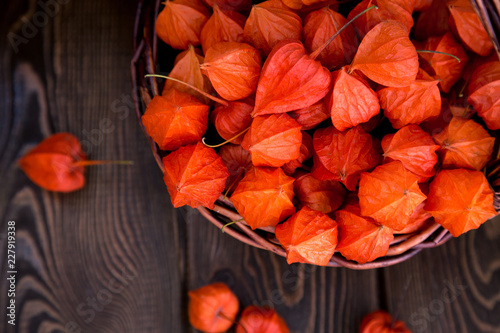 Autumn background. Bright orange physalis berries on a brown woody background. Background for the autumn holidays and thanksgiving day.