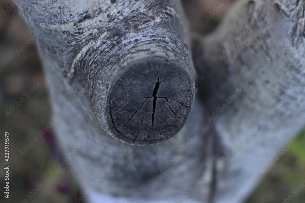 Naklejka premium metal, isolated, water, steel, white, tool, old, nature, macro, closeup, tree