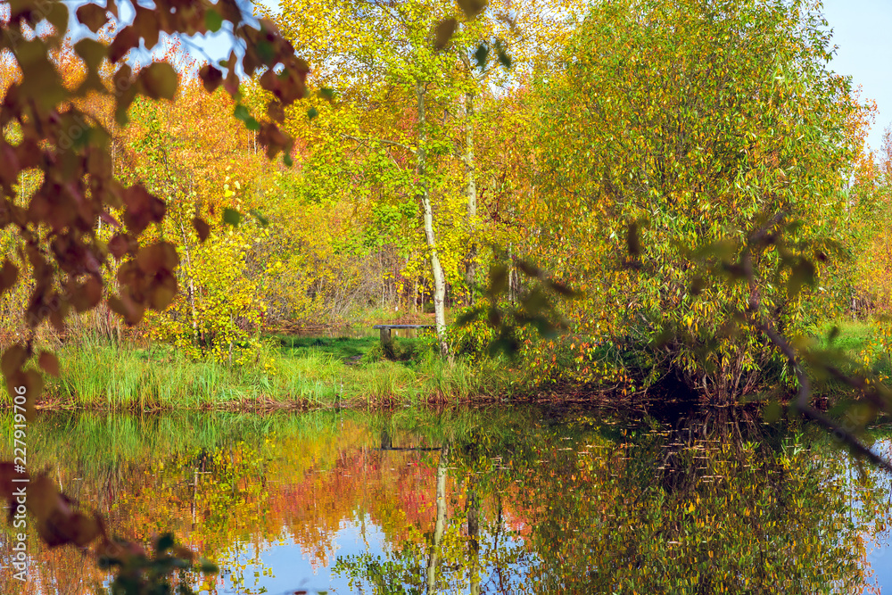 Yellow Orange foliage of trees reflected in the river surface