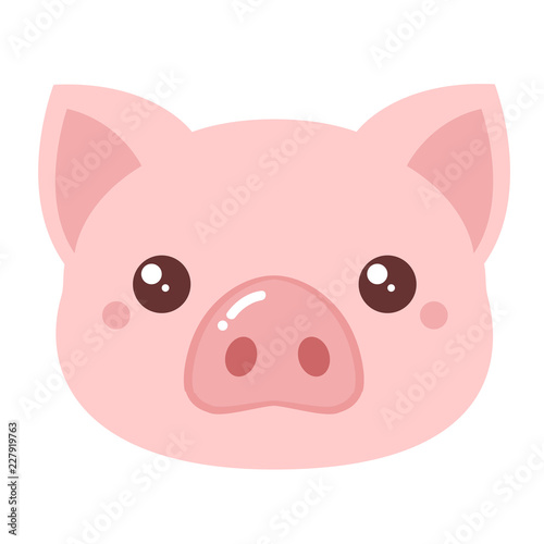 Pig head
