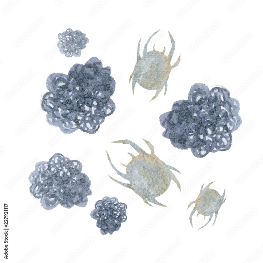 ダニ ほこり ハウスダスト 水彩 イラスト Stock イラスト Adobe Stock