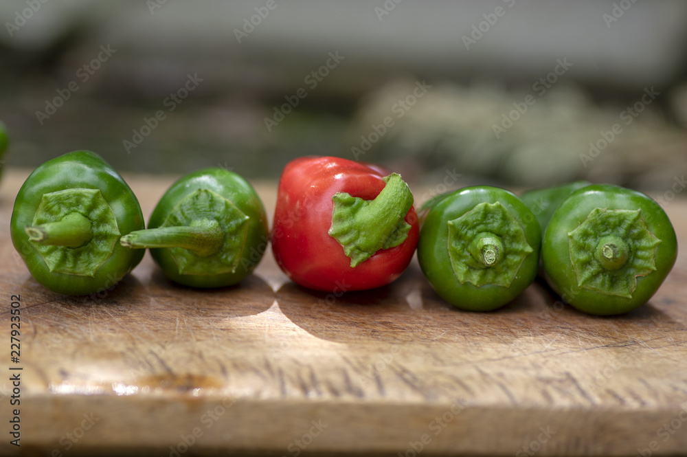 Capsicum annuum Jalapeno chilli hot peppers, group of green and red fruits on wooden cutting board