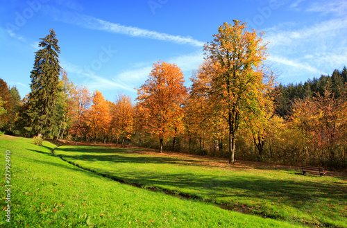 Colorful autumn Park with trees and blue sky in Germany.