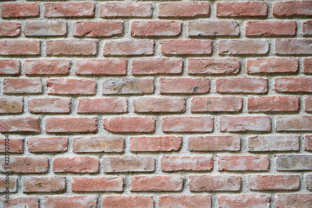 Obraz premium brick wall