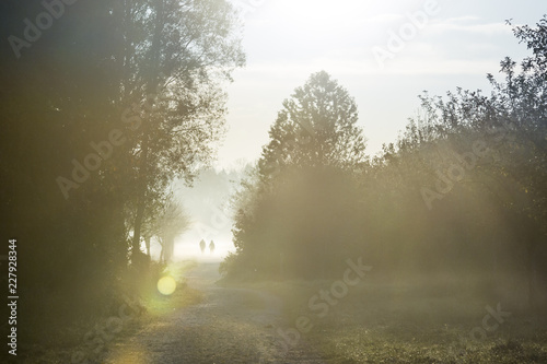 Hikers come out of the morning mist in the sunshine